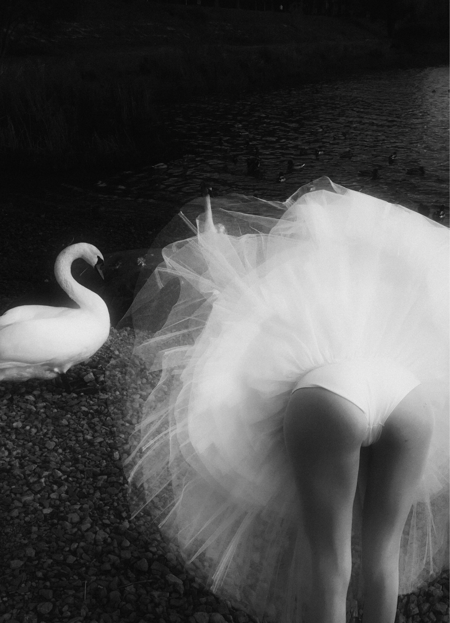 Melancholia