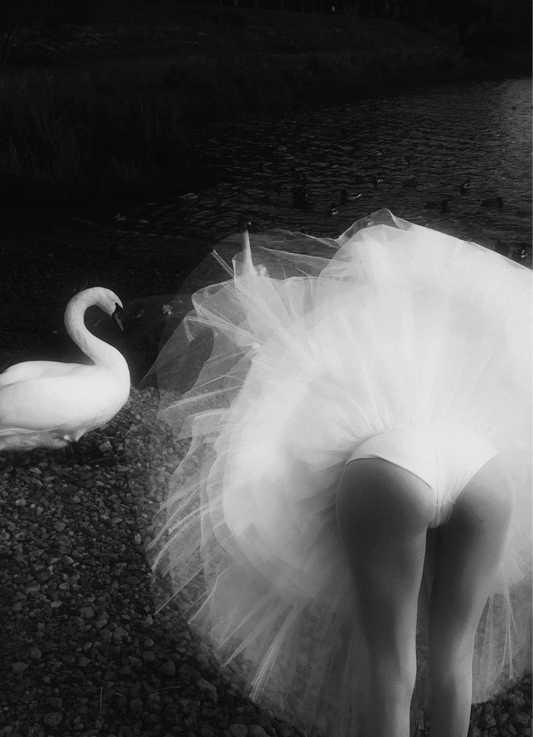 Melancholia